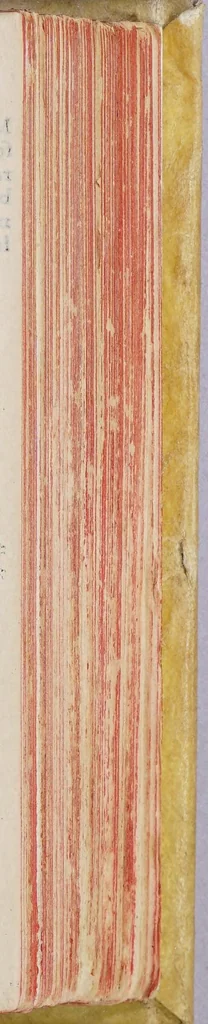 An illustration from Historiale description de l'Ethiopie, : contenant vraye relation des terres, & païs du grand roy, & empereur Prete-Ian, l'assiete de ses royaumes & prouinces, leurs coutumes, loix & religion, auec les pourtraits de leurs temples & autres singularitez, cy deuant non cogneües. : auec la table des choses memorables contenues en icelle, 1558, leaf 223