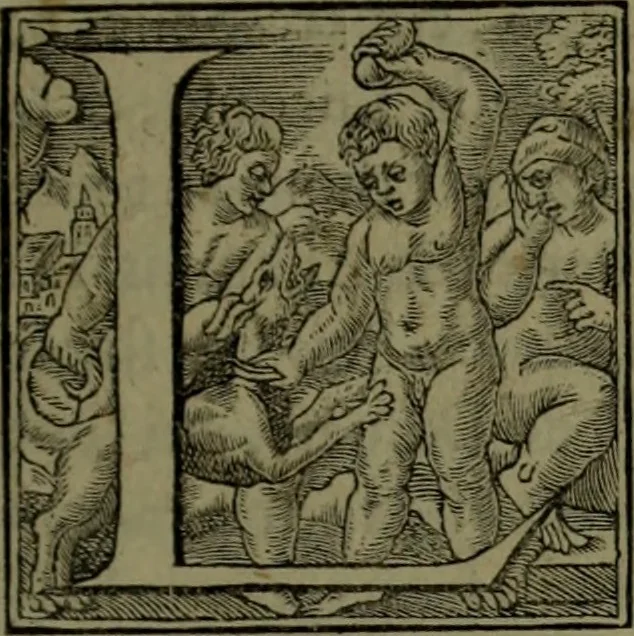 An illustration from [Historiale description de l'Afrique, tierce partie du monde :bcontenant ses royaumes, regions, viles, cités, chateaux et forteresses : iles, flleuves, animaux, tant aquatiques, que terrestres : coutumes, loix, religion et façon de faire des habitas : auec pourtraits de leurs habis : emsemble autres choses memorables et singulières nouueautés, 1556, leaf 10