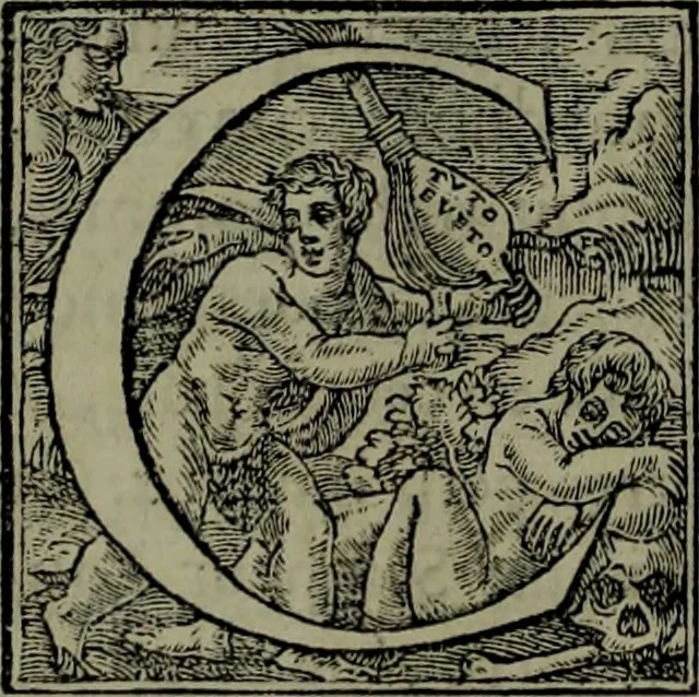An illustration from [Historiale description de l'Afrique, tierce partie du monde :bcontenant ses royaumes, regions, viles, cités, chateaux et forteresses : iles, flleuves, animaux, tant aquatiques, que terrestres : coutumes, loix, religion et façon de faire des habitas : auec pourtraits de leurs habis : emsemble autres choses memorables et singulières nouueautés, 1556, leaf 111