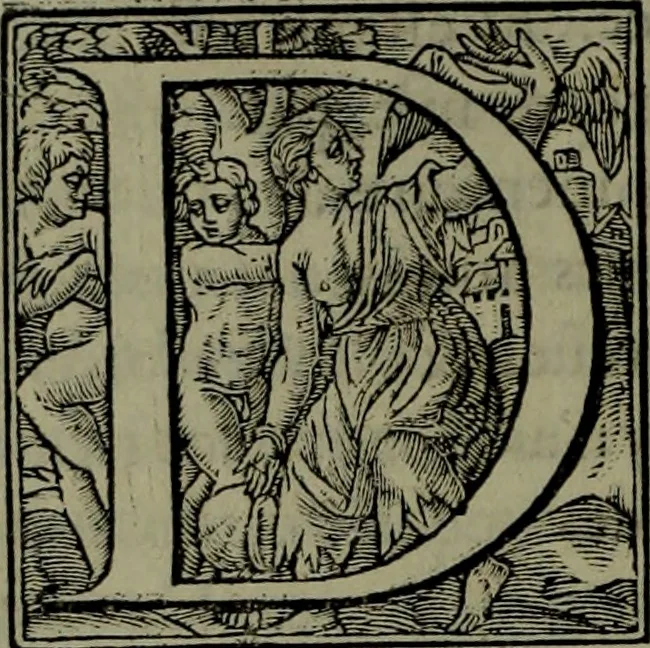 An illustration from [Historiale description de l'Afrique, tierce partie du monde :bcontenant ses royaumes, regions, viles, cités, chateaux et forteresses : iles, flleuves, animaux, tant aquatiques, que terrestres : coutumes, loix, religion et façon de faire des habitas : auec pourtraits de leurs habis : emsemble autres choses memorables et singulières nouueautés, 1556, leaf 125