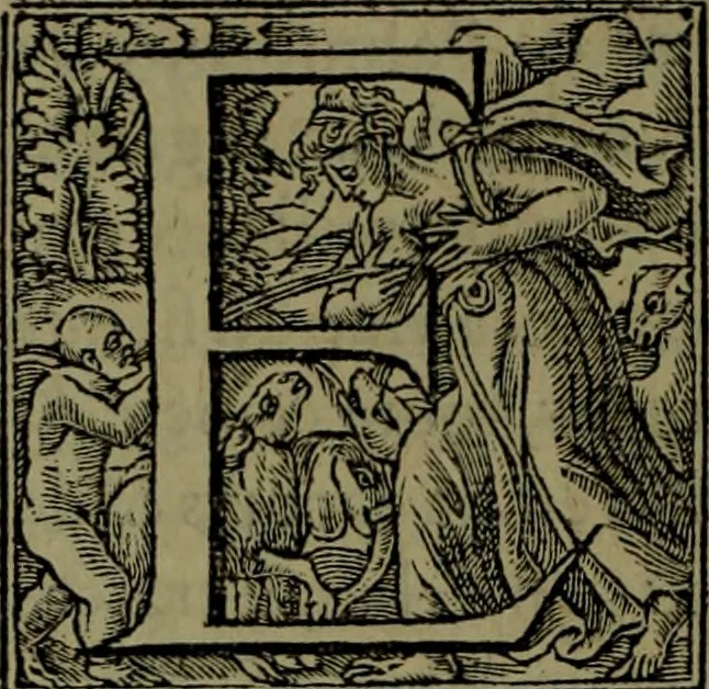 An illustration from [Historiale description de l'Afrique, tierce partie du monde :bcontenant ses royaumes, regions, viles, cités, chateaux et forteresses : iles, flleuves, animaux, tant aquatiques, que terrestres : coutumes, loix, religion et façon de faire des habitas : auec pourtraits de leurs habis : emsemble autres choses memorables et singulières nouueautés, 1556, leaf 131