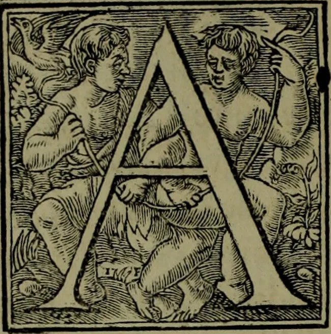 An illustration from [Historiale description de l'Afrique, tierce partie du monde :bcontenant ses royaumes, regions, viles, cités, chateaux et forteresses : iles, flleuves, animaux, tant aquatiques, que terrestres : coutumes, loix, religion et façon de faire des habitas : auec pourtraits de leurs habis : emsemble autres choses memorables et singulières nouueautés, 1556, leaf 135
