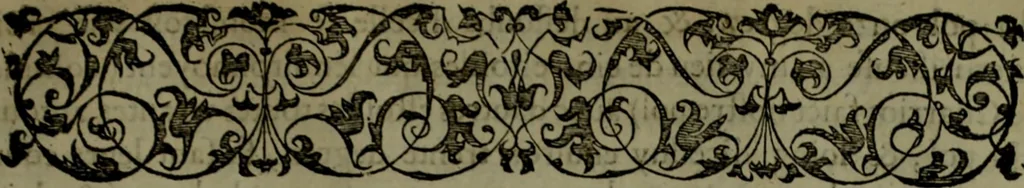 An illustration from [Historiale description de l'Afrique, tierce partie du monde :bcontenant ses royaumes, regions, viles, cités, chateaux et forteresses : iles, flleuves, animaux, tant aquatiques, que terrestres : coutumes, loix, religion et façon de faire des habitas : auec pourtraits de leurs habis : emsemble autres choses memorables et singulières nouueautés, 1556, leaf 138