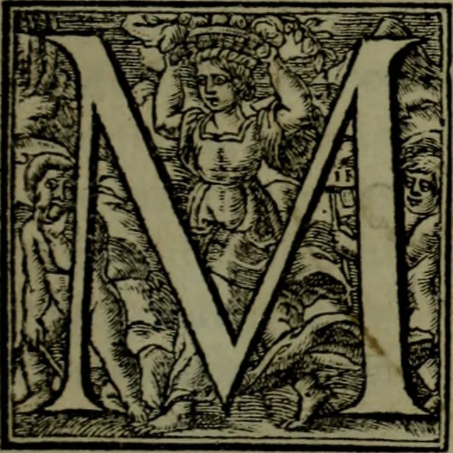 An illustration from [Historiale description de l'Afrique, tierce partie du monde :bcontenant ses royaumes, regions, viles, cités, chateaux et forteresses : iles, flleuves, animaux, tant aquatiques, que terrestres : coutumes, loix, religion et façon de faire des habitas : auec pourtraits de leurs habis : emsemble autres choses memorables et singulières nouueautés, 1556, leaf 138