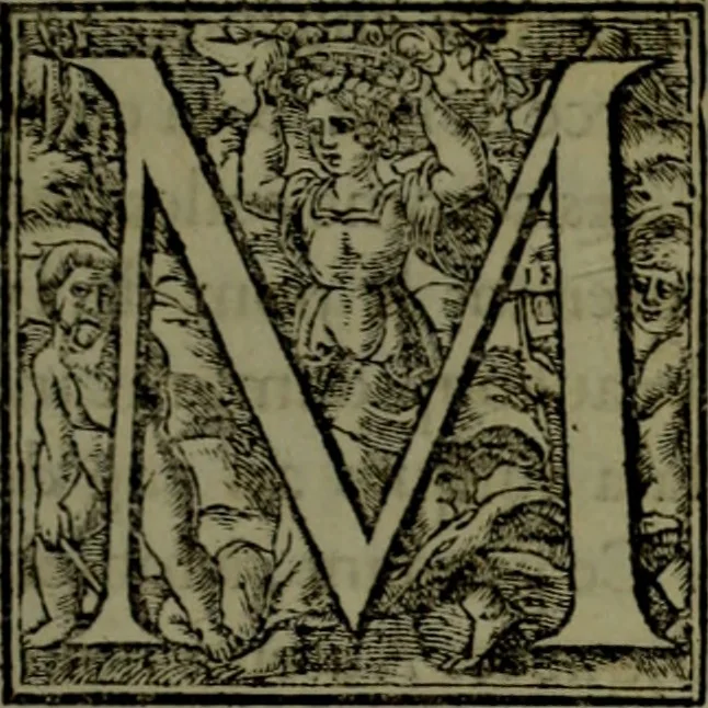 An illustration from [Historiale description de l'Afrique, tierce partie du monde :bcontenant ses royaumes, regions, viles, cités, chateaux et forteresses : iles, flleuves, animaux, tant aquatiques, que terrestres : coutumes, loix, religion et façon de faire des habitas : auec pourtraits de leurs habis : emsemble autres choses memorables et singulières nouueautés, 1556, leaf 148