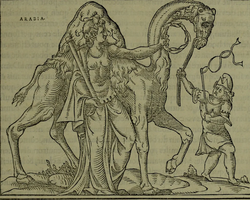 An illustration from [Historiale description de l'Afrique, tierce partie du monde :bcontenant ses royaumes, regions, viles, cités, chateaux et forteresses : iles, flleuves, animaux, tant aquatiques, que terrestres : coutumes, loix, religion et façon de faire des habitas : auec pourtraits de leurs habis : emsemble autres choses memorables et singulières nouueautés, 1556, leaf 30