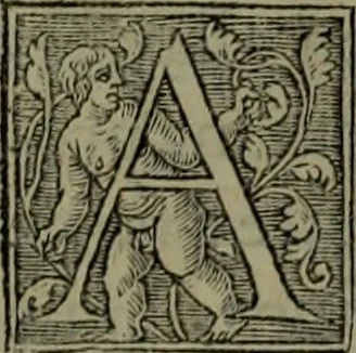 An illustration from [Historiale description de l'Afrique, tierce partie du monde :bcontenant ses royaumes, regions, viles, cités, chateaux et forteresses : iles, flleuves, animaux, tant aquatiques, que terrestres : coutumes, loix, religion et façon de faire des habitas : auec pourtraits de leurs habis : emsemble autres choses memorables et singulières nouueautés, 1556, leaf 43