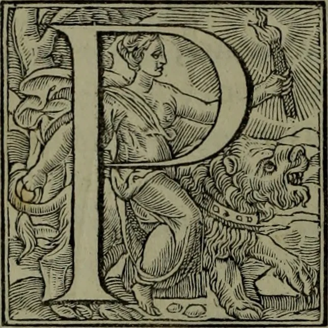 An illustration from [Historiale description de l'Afrique, tierce partie du monde :bcontenant ses royaumes, regions, viles, cités, chateaux et forteresses : iles, flleuves, animaux, tant aquatiques, que terrestres : coutumes, loix, religion et façon de faire des habitas : auec pourtraits de leurs habis : emsemble autres choses memorables et singulières nouueautés, 1556, leaf 49
