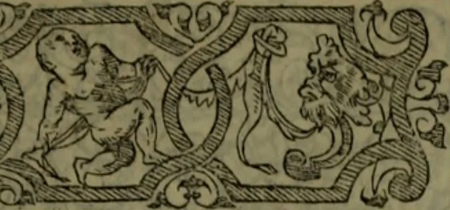 An illustration from [Historiale description de l'Afrique, tierce partie du monde :bcontenant ses royaumes, regions, viles, cités, chateaux et forteresses : iles, flleuves, animaux, tant aquatiques, que terrestres : coutumes, loix, religion et façon de faire des habitas : auec pourtraits de leurs habis : emsemble autres choses memorables et singulières nouueautés, 1556, leaf 6