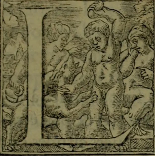 An illustration from [Historiale description de l'Afrique, tierce partie du monde :bcontenant ses royaumes, regions, viles, cités, chateaux et forteresses : iles, flleuves, animaux, tant aquatiques, que terrestres : coutumes, loix, religion et façon de faire des habitas : auec pourtraits de leurs habis : emsemble autres choses memorables et singulières nouueautés, 1556, leaf 6