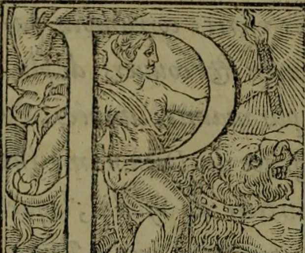An illustration from [Historiale description de l'Afrique, tierce partie du monde :bcontenant ses royaumes, regions, viles, cités, chateaux et forteresses : iles, flleuves, animaux, tant aquatiques, que terrestres : coutumes, loix, religion et façon de faire des habitas : auec pourtraits de leurs habis : emsemble autres choses memorables et singulières nouueautés, 1556, leaf 7