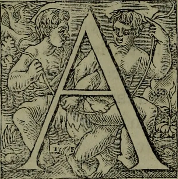 An illustration from [Historiale description de l'Afrique, tierce partie du monde :bcontenant ses royaumes, regions, viles, cités, chateaux et forteresses : iles, flleuves, animaux, tant aquatiques, que terrestres : coutumes, loix, religion et façon de faire des habitas : auec pourtraits de leurs habis : emsemble autres choses memorables et singulières nouueautés, 1556, leaf 93