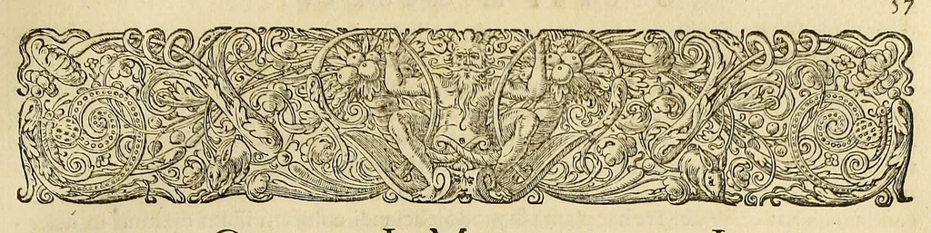 An illustration from Historia naturalis Brasiliae, : auspicio et beneficio illustriss. I. Mauritii Com. Nassau ... adornata : in qua non tantum plantæ et animalia, sed et indigenarum morbi, ingenia et mores describuntur et iconibus supra quingentas illustrantur, 1648, leaf 205