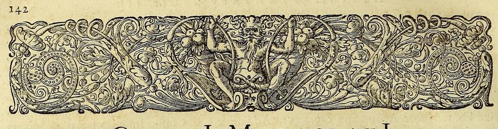 An illustration from Historia naturalis Brasiliae, : auspicio et beneficio illustriss. I. Mauritii Com. Nassau ... adornata : in qua non tantum plantæ et animalia, sed et indigenarum morbi, ingenia et mores describuntur et iconibus supra quingentas illustrantur, 1648, leaf 290