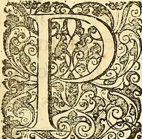 An illustration from Historia naturalis Brasiliae : auspicio et beneficio illustriss. I. Mauriti Com. Nassau illius provinciae et maris summi praefecti adornata : in qua non tantum plantae et animalia, sed et indigenarum morbi, ingenia et mores describuntur et iconibus supra quingentas illustrantur, 1648, leaf 14