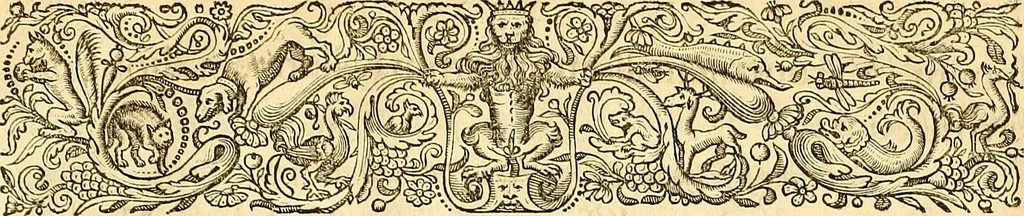 An illustration from Historia naturalis Brasiliae : auspicio et beneficio illustriss. I. Mauriti Com. Nassau illius provinciae et maris summi praefecti adornata : in qua non tantum plantae et animalia, sed et indigenarum morbi, ingenia et mores describuntur et iconibus supra quingentas illustrantur, 1648, leaf 14