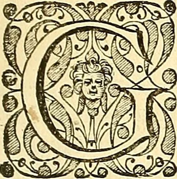 An illustration from Historia naturalis Brasiliae : auspicio et beneficio illustriss. I. Mauriti Com. Nassau illius provinciae et maris summi praefecti adornata : in qua non tantum plantae et animalia, sed et indigenarum morbi, ingenia et mores describuntur et iconibus supra quingentas illustrantur, 1648, leaf 150
