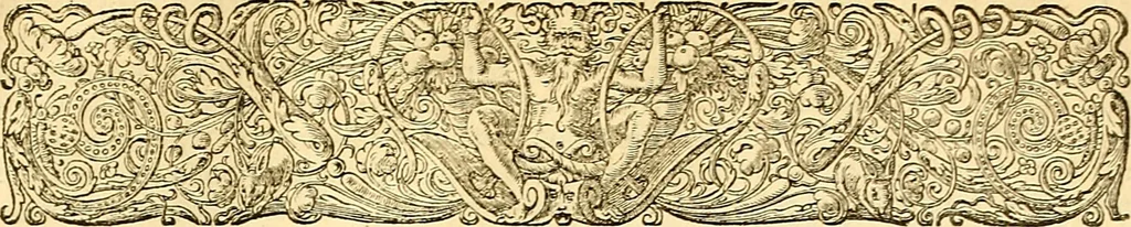 An illustration from Historia naturalis Brasiliae : auspicio et beneficio illustriss. I. Mauriti Com. Nassau illius provinciae et maris summi praefecti adornata : in qua non tantum plantae et animalia, sed et indigenarum morbi, ingenia et mores describuntur et iconibus supra quingentas illustrantur, 1648, leaf 206