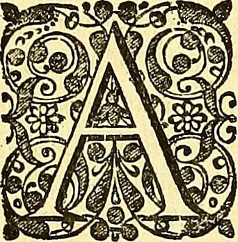 An illustration from Historia naturalis Brasiliae : auspicio et beneficio illustriss. I. Mauriti Com. Nassau illius provinciae et maris summi praefecti adornata : in qua non tantum plantae et animalia, sed et indigenarum morbi, ingenia et mores describuntur et iconibus supra quingentas illustrantur, 1648, leaf 239