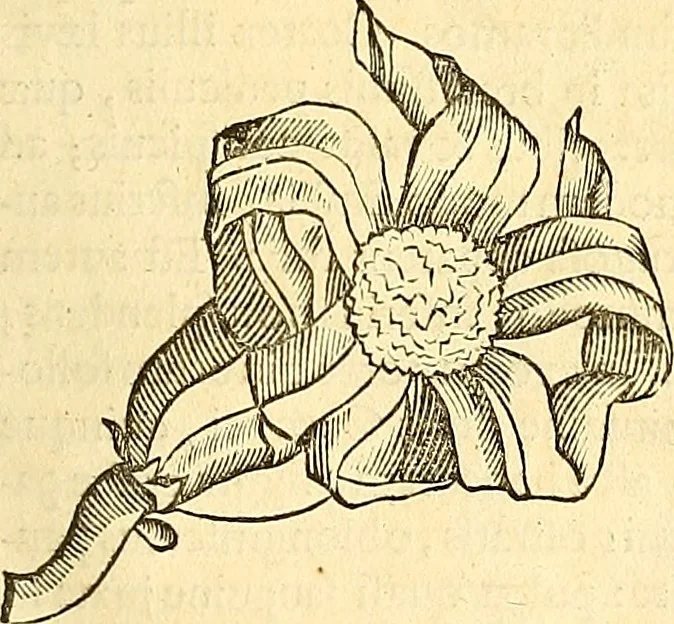 An illustration from Historia naturalis Brasiliae : auspicio et beneficio illustriss. I. Mauriti Com. Nassau illius provinciae et maris summi praefecti adornata : in qua non tantum plantae et animalia, sed et indigenarum morbi, ingenia et mores describuntur et iconibus supra quingentas illustrantur, 1648, leaf 252