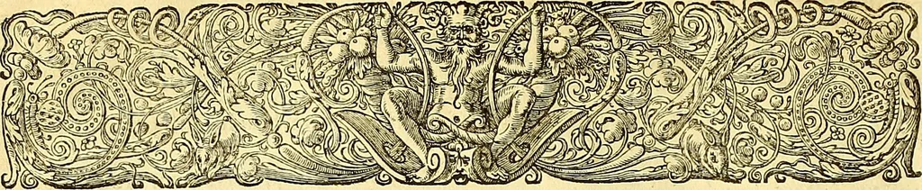 An illustration from Historia naturalis Brasiliae : auspicio et beneficio illustriss. I. Mauriti Com. Nassau illius provinciae et maris summi praefecti adornata : in qua non tantum plantae et animalia, sed et indigenarum morbi, ingenia et mores describuntur et iconibus supra quingentas illustrantur, 1648, leaf 291