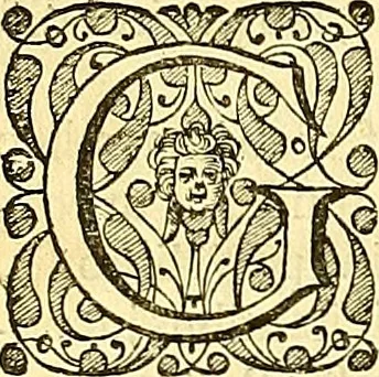 An illustration from Historia naturalis Brasiliae : auspicio et beneficio illustriss. I. Mauriti Com. Nassau illius provinciae et maris summi praefecti adornata : in qua non tantum plantae et animalia, sed et indigenarum morbi, ingenia et mores describuntur et iconibus supra quingentas illustrantur, 1648, leaf 291