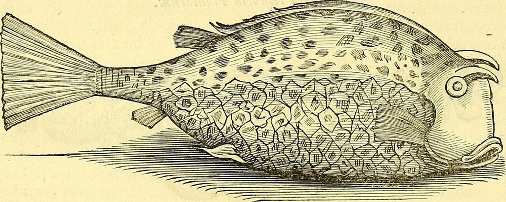 An illustration from Historia naturalis Brasiliae : auspicio et beneficio illustriss. I. Mauriti Com. Nassau illius provinciae et maris summi praefecti adornata : in qua non tantum plantae et animalia, sed et indigenarum morbi, ingenia et mores describuntur et iconibus supra quingentas illustrantur, 1648, leaf 291