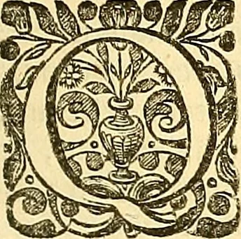 An illustration from Historia naturalis Brasiliae : auspicio et beneficio illustriss. I. Mauriti Com. Nassau illius provinciae et maris summi praefecti adornata : in qua non tantum plantae et animalia, sed et indigenarum morbi, ingenia et mores describuntur et iconibus supra quingentas illustrantur, 1648, leaf 32