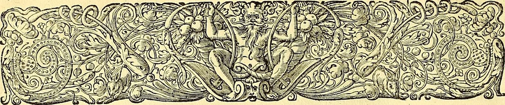 An illustration from Historia naturalis Brasiliae : auspicio et beneficio illustriss. I. Mauriti Com. Nassau illius provinciae et maris summi praefecti adornata : in qua non tantum plantae et animalia, sed et indigenarum morbi, ingenia et mores describuntur et iconibus supra quingentas illustrantur, 1648, leaf 339
