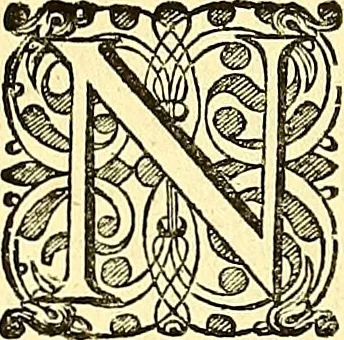 An illustration from Historia naturalis Brasiliae : auspicio et beneficio illustriss. I. Mauriti Com. Nassau illius provinciae et maris summi praefecti adornata : in qua non tantum plantae et animalia, sed et indigenarum morbi, ingenia et mores describuntur et iconibus supra quingentas illustrantur, 1648, leaf 339