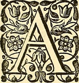 An illustration from Historia naturalis Brasiliae : auspicio et beneficio illustriss. I. Mauriti Com. Nassau illius provinciae et maris summi praefecti adornata : in qua non tantum plantae et animalia, sed et indigenarum morbi, ingenia et mores describuntur et iconibus supra quingentas illustrantur, 1648, leaf 370