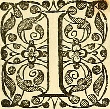 An illustration from Historia naturalis Brasiliae : auspicio et beneficio illustriss. I. Mauriti Com. Nassau illius provinciae et maris summi praefecti adornata : in qua non tantum plantae et animalia, sed et indigenarum morbi, ingenia et mores describuntur et iconibus supra quingentas illustrantur, 1648, leaf 394