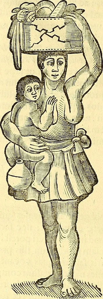 An illustration from Historia naturalis Brasiliae : auspicio et beneficio illustriss. I. Mauriti Com. Nassau illius provinciae et maris summi praefecti adornata : in qua non tantum plantae et animalia, sed et indigenarum morbi, ingenia et mores describuntur et iconibus supra quingentas illustrantur, 1648, leaf 419