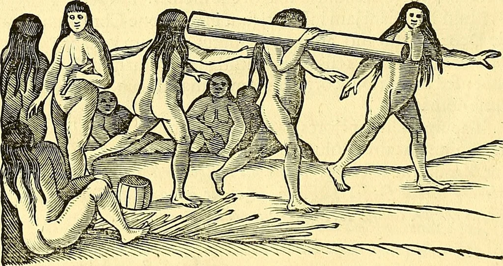 An illustration from Historia naturalis Brasiliae : auspicio et beneficio illustriss. I. Mauriti Com. Nassau illius provinciae et maris summi praefecti adornata : in qua non tantum plantae et animalia, sed et indigenarum morbi, ingenia et mores describuntur et iconibus supra quingentas illustrantur, 1648, leaf 429
