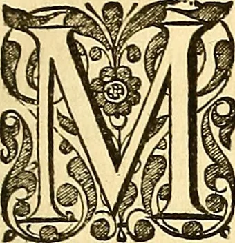 An illustration from Historia naturalis Brasiliae : auspicio et beneficio illustriss. I. Mauriti Com. Nassau illius provinciae et maris summi praefecti adornata : in qua non tantum plantae et animalia, sed et indigenarum morbi, ingenia et mores describuntur et iconibus supra quingentas illustrantur, 1648, leaf 56