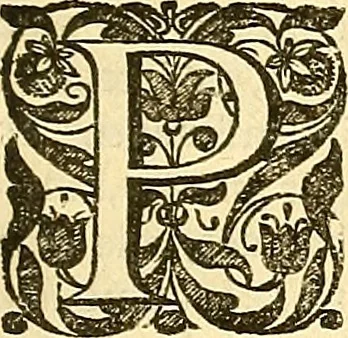 An illustration from Historia naturalis Brasiliae : auspicio et beneficio illustriss. I. Mauriti Com. Nassau illius provinciae et maris summi praefecti adornata : in qua non tantum plantae et animalia, sed et indigenarum morbi, ingenia et mores describuntur et iconibus supra quingentas illustrantur, 1648, leaf 66
