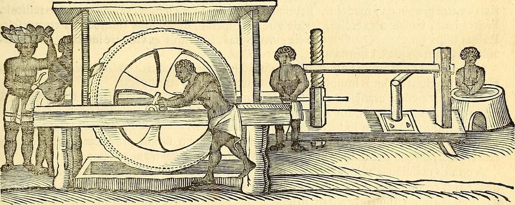 An illustration from Historia naturalis Brasiliae : auspicio et beneficio illustriss. I. Mauriti Com. Nassau illius provinciae et maris summi praefecti adornata : in qua non tantum plantae et animalia, sed et indigenarum morbi, ingenia et mores describuntur et iconibus supra quingentas illustrantur, 1648, leaf 70