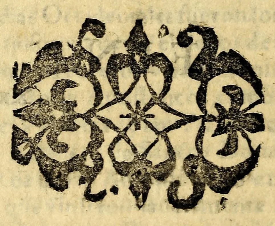 An illustration from Historia natural y moral de las Indias. : En que se tratan las cosas notables del cielo, y elementos, metales ... y guerras de los Indios., 1591, leaf 700