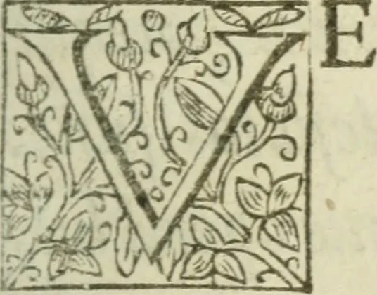 An illustration from Historia natvralis et experimentalis ad condendam philosophiam; sive, Phaenomena vniversi, quae est Instaurationis magnae pars tertia, 1622, leaf 42