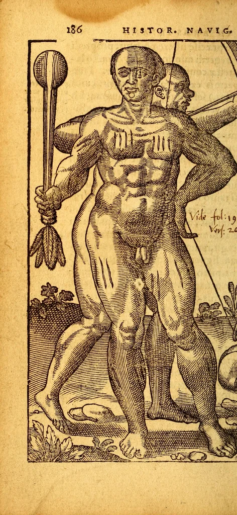 An illustration from Historia nauigationis in Brasiliam, quae et America dicitur. : Qua describitur autoris nauigatio, quaéque in mari vidit memoriae prodenda: Villagagnonis in America gesta: Brasiliensium victus & mores, à nostris admodum alieni, cum eorum linguae dialogo: animalia etiam, arbores, atque herbae, reliquáque singularia & nobis penitùs incognita., 1586, leaf 258