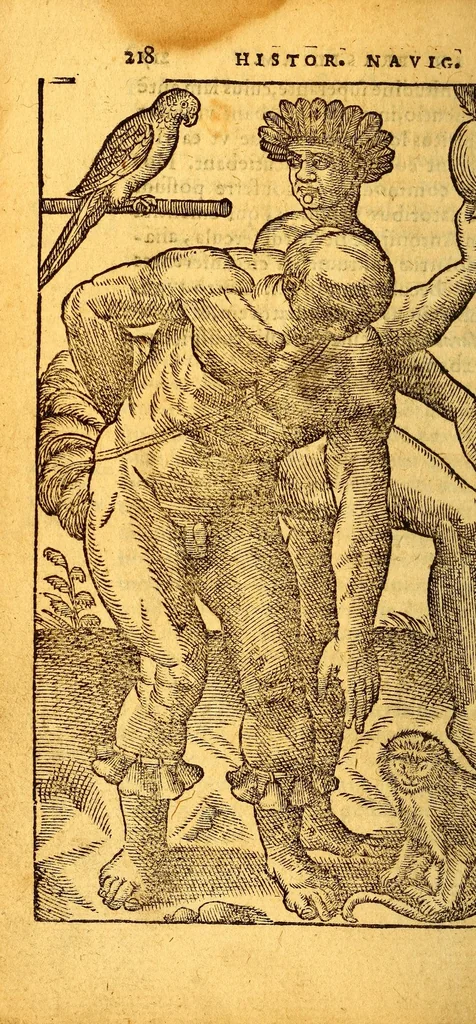 An illustration from Historia nauigationis in Brasiliam, quae et America dicitur. : Qua describitur autoris nauigatio, quaéque in mari vidit memoriae prodenda: Villagagnonis in America gesta: Brasiliensium victus & mores, à nostris admodum alieni, cum eorum linguae dialogo: animalia etiam, arbores, atque herbae, reliquáque singularia & nobis penitùs incognita., 1586, leaf 308