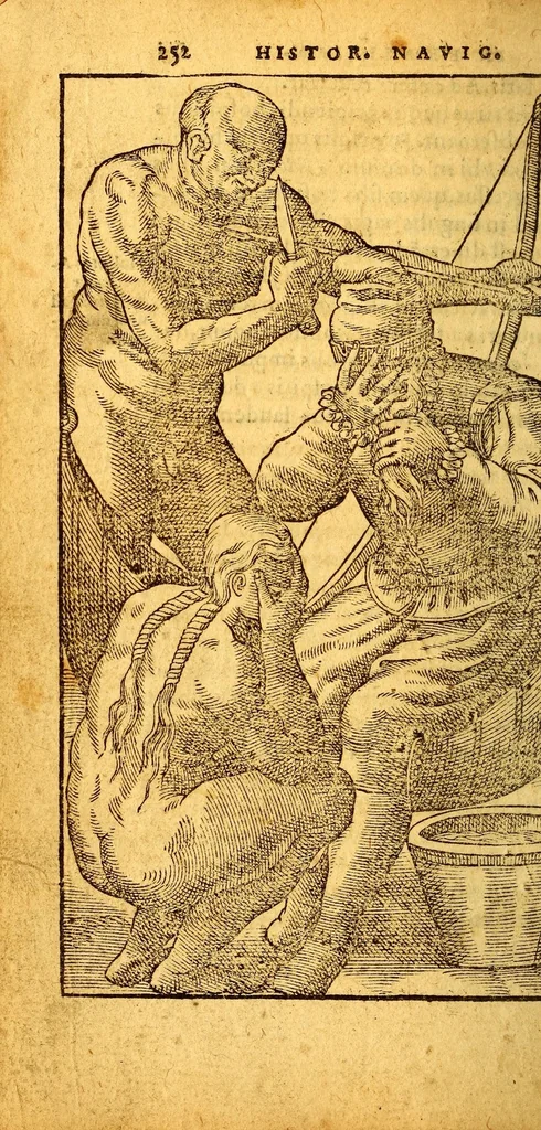 An illustration from Historia nauigationis in Brasiliam, quae et America dicitur. : Qua describitur autoris nauigatio, quaéque in mari vidit memoriae prodenda: Villagagnonis in America gesta: Brasiliensium victus & mores, à nostris admodum alieni, cum eorum linguae dialogo: animalia etiam, arbores, atque herbae, reliquáque singularia & nobis penitùs incognita., 1586, leaf 342