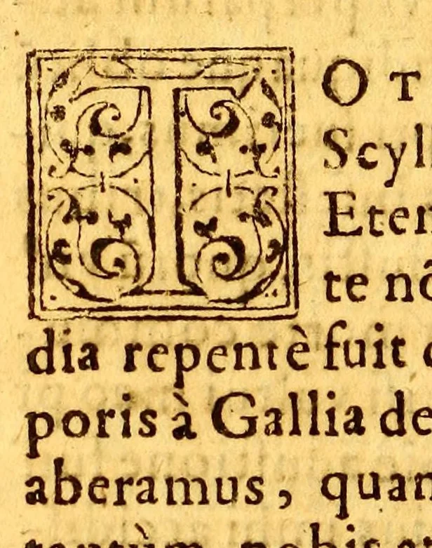 An illustration from Historia nauigationis in Brasiliam, quae et America dicitur. : Qua describitur autoris nauigatio, quaéque in mari vidit memoriae prodenda: Villagagnonis in America gesta: Brasiliensium victus & mores, à nostris admodum alieni, cum eorum linguae dialogo: animalia etiam, arbores, atque herbae, reliquáque singularia & nobis penitùs incognita., 1586, leaf 408