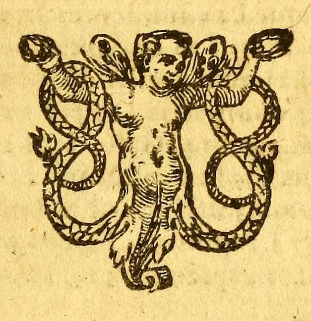 An illustration from Historia nauigationis in Brasiliam, quae et America dicitur. : Qua describitur autoris nauigatio, quaéque in mari vidit memoriae prodenda: Villagagnonis in America gesta: Brasiliensium victus & mores, à nostris admodum alieni, cum eorum linguae dialogo: animalia etiam, arbores, atque herbae, reliquáque singularia & nobis penitùs incognita., 1586, leaf 431