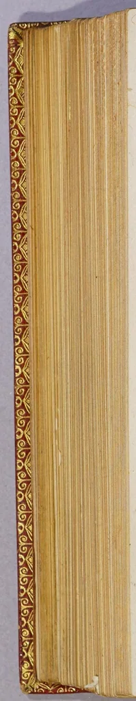 An illustration from Historia nauigationis in Brasiliam, quae et America dicitur. : Qua describitur autoris nauigatio, quaéque in mari vidit memoriae prodenda: Villagagnonis in America gesta: Brasiliensium victus & mores, à nostris admodum alieni, cum eorum linguae dialogo: animalia etiam, arbores, atque herbae, reliquáque singularia & nobis penitùs incognita., 1586, leaf 238