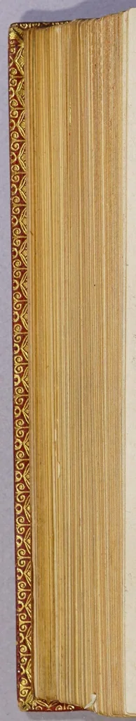 An illustration from Historia nauigationis in Brasiliam, quae et America dicitur. : Qua describitur autoris nauigatio, quaéque in mari vidit memoriae prodenda: Villagagnonis in America gesta: Brasiliensium victus & mores, à nostris admodum alieni, cum eorum linguae dialogo: animalia etiam, arbores, atque herbae, reliquáque singularia & nobis penitùs incognita., 1586, leaf 258