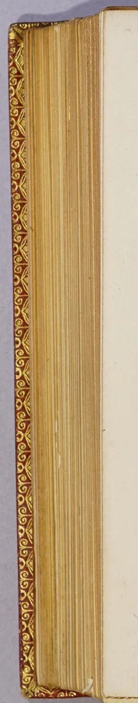 An illustration from Historia nauigationis in Brasiliam, quae et America dicitur. : Qua describitur autoris nauigatio, quaéque in mari vidit memoriae prodenda: Villagagnonis in America gesta: Brasiliensium victus & mores, à nostris admodum alieni, cum eorum linguae dialogo: animalia etiam, arbores, atque herbae, reliquáque singularia & nobis penitùs incognita., 1586, leaf 438