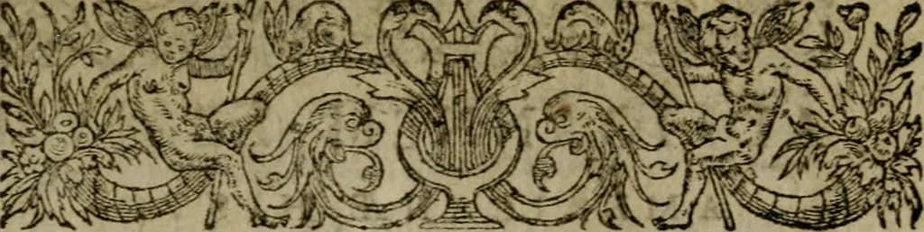 An illustration from Historia navigationis in Brasiliam quae et America dicitvr : qua describitvr avthoris navigatio, quaeque in mari vidit memoriae prodenda, Villagagnonis in America gesta : Brasiliensium victus & mores, à nostris admodum alieni, cum eorum linguae dialogo : animalia etiam, arbores atque herbae, reliquaque singularia & nobis penitus incognita, 1594, leaf 14