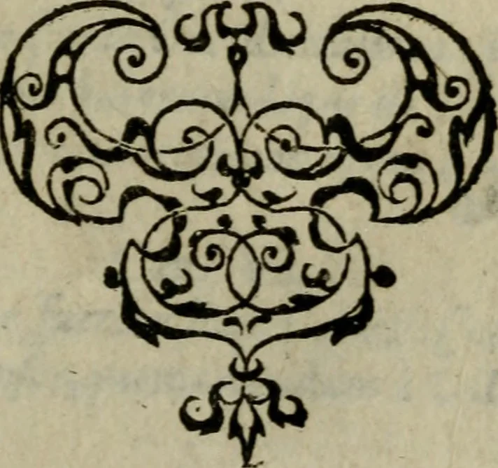 An illustration from Historia navigationis in Brasiliam quae et America dicitvr : qua describitvr avthoris navigatio, quaeque in mari vidit memoriae prodenda, Villagagnonis in America gesta : Brasiliensium victus & mores, à nostris admodum alieni, cum eorum linguae dialogo : animalia etiam, arbores atque herbae, reliquaque singularia & nobis penitus incognita, 1594, leaf 16