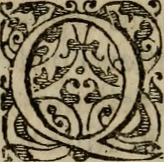 An illustration from Historia navigationis in Brasiliam quae et America dicitvr : qua describitvr avthoris navigatio, quaeque in mari vidit memoriae prodenda, Villagagnonis in America gesta : Brasiliensium victus & mores, à nostris admodum alieni, cum eorum linguae dialogo : animalia etiam, arbores atque herbae, reliquaque singularia & nobis penitus incognita, 1594, leaf 161